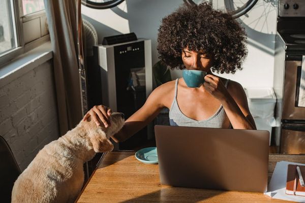 Samson Katt באתר PEXELS נוטריון לאנגלית: מקצוענים אמיתיים