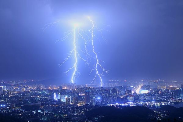 木木 באתר PEXELS הסכן של הרחובות: חוויות של עורך דין פשיטת רגל
