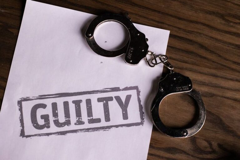 criminal legal support